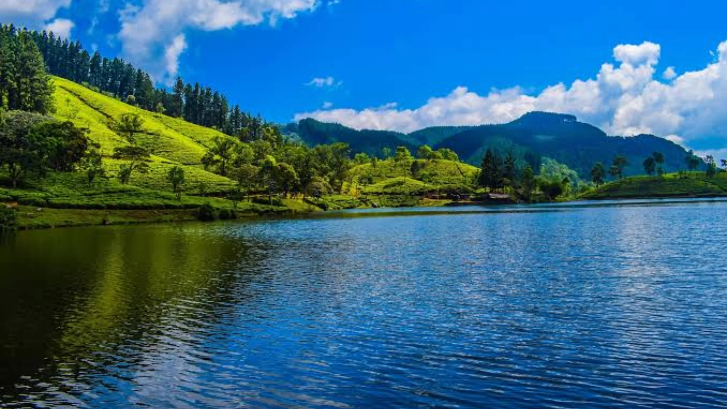 A calm lake surrounded by tea-covered hills under a blue sky in the highlands