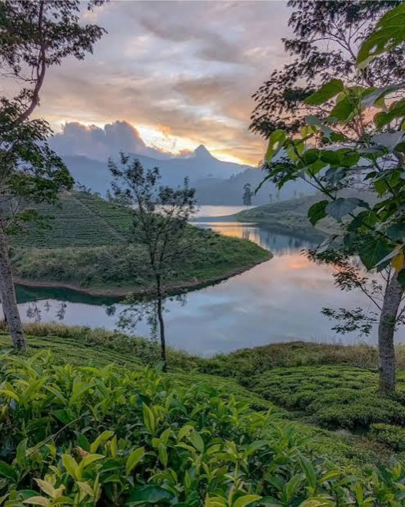 A tranquil highland lake reflecting a golden sunset, framed by trees and distant mountains