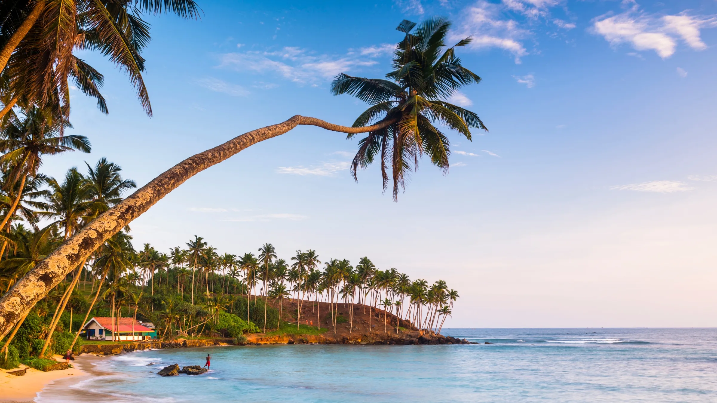 Palm trees leaning over a golden-lit beach along the coastline near Mirissa